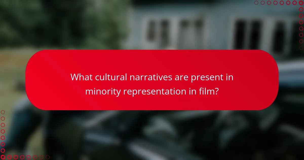 What cultural narratives are present in minority representation in film?